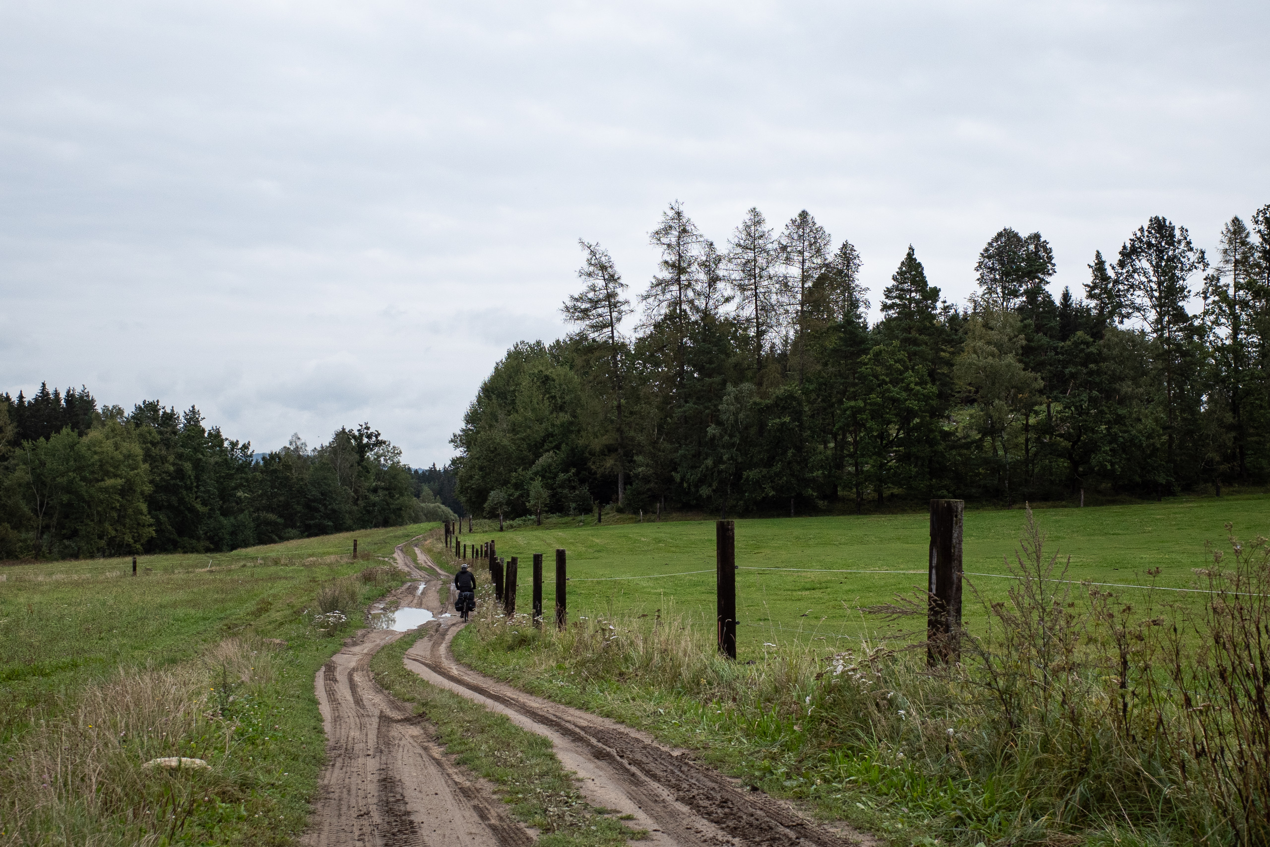 Fahrspur am Weidezaun entlang, der Vordermann schon weit voraus